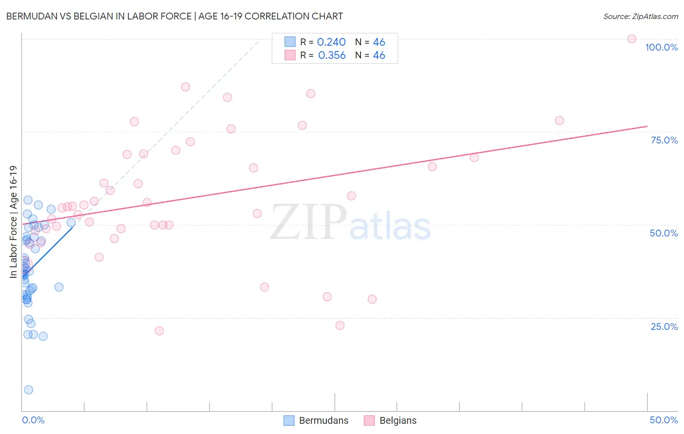 Bermudan vs Belgian In Labor Force | Age 16-19