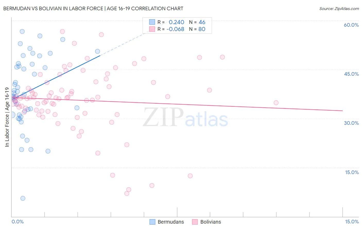 Bermudan vs Bolivian In Labor Force | Age 16-19