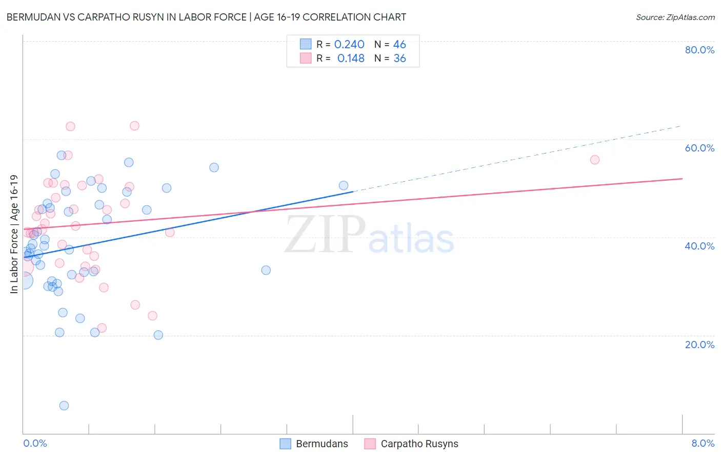 Bermudan vs Carpatho Rusyn In Labor Force | Age 16-19