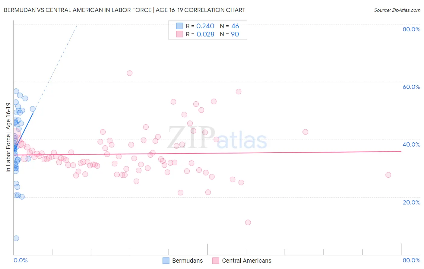 Bermudan vs Central American In Labor Force | Age 16-19