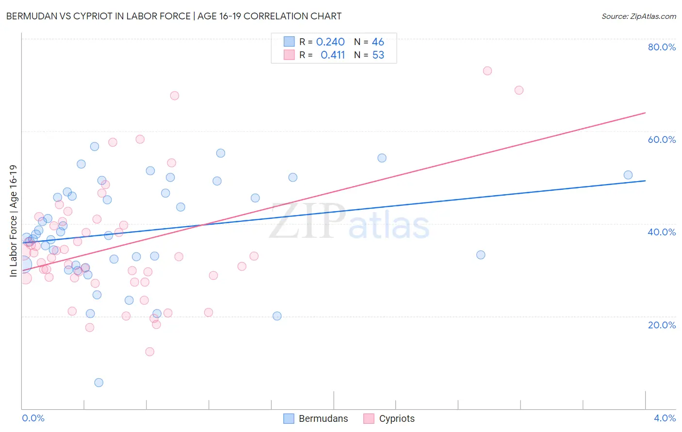 Bermudan vs Cypriot In Labor Force | Age 16-19