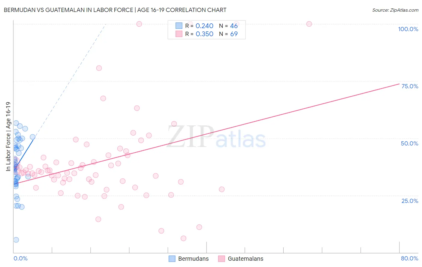 Bermudan vs Guatemalan In Labor Force | Age 16-19