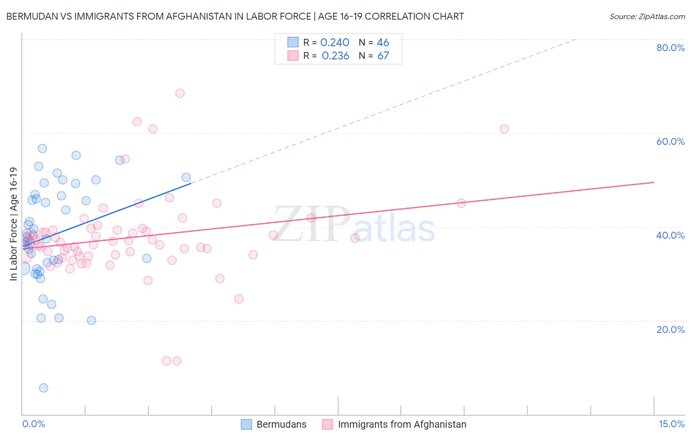 Bermudan vs Immigrants from Afghanistan In Labor Force | Age 16-19