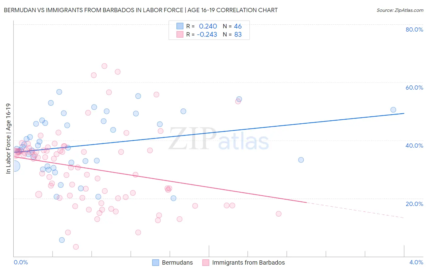 Bermudan vs Immigrants from Barbados In Labor Force | Age 16-19