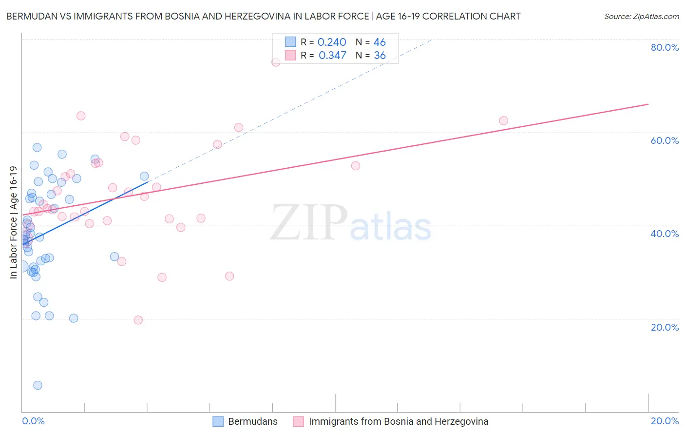 Bermudan vs Immigrants from Bosnia and Herzegovina In Labor Force | Age 16-19