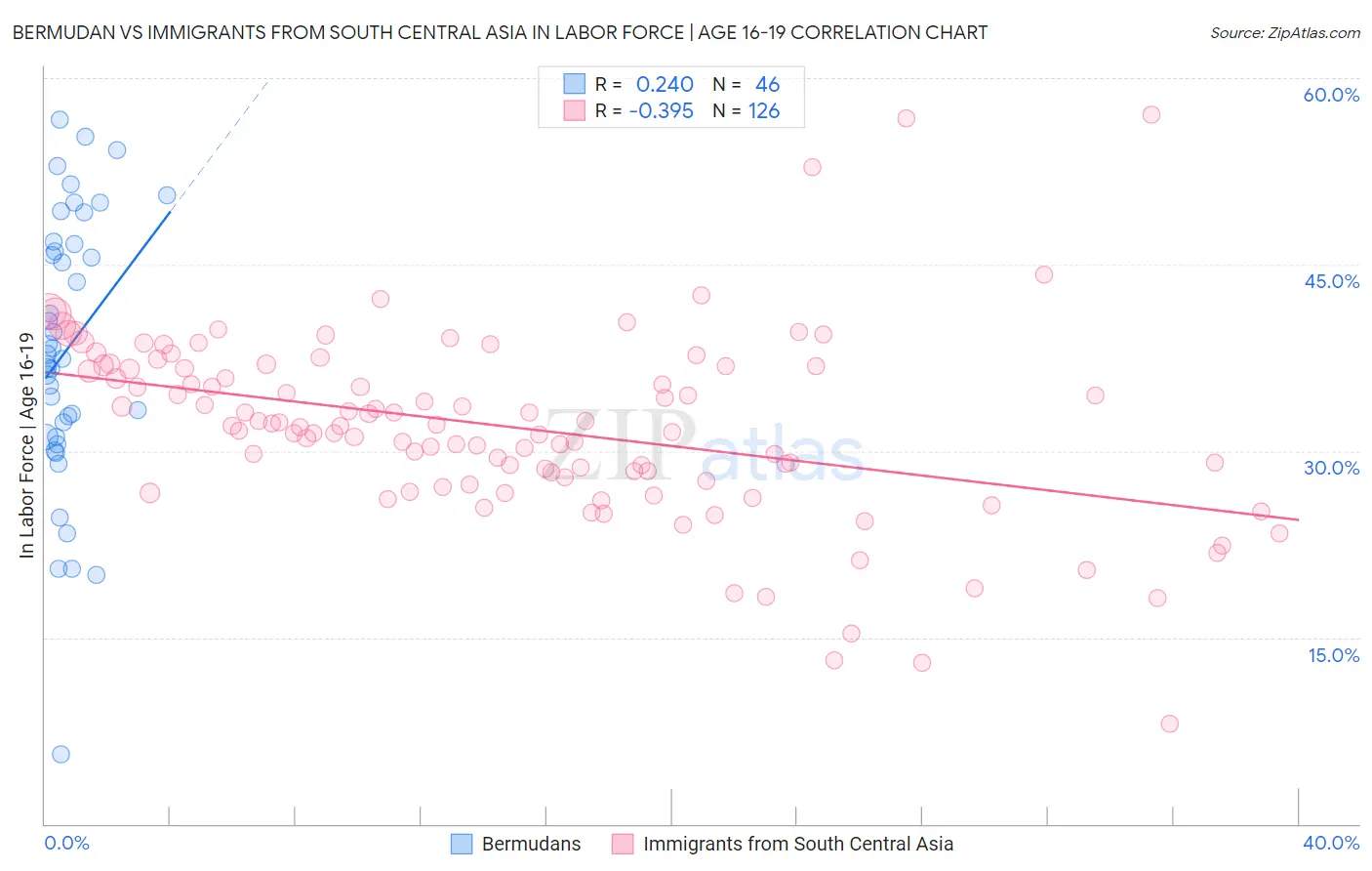 Bermudan vs Immigrants from South Central Asia In Labor Force | Age 16-19