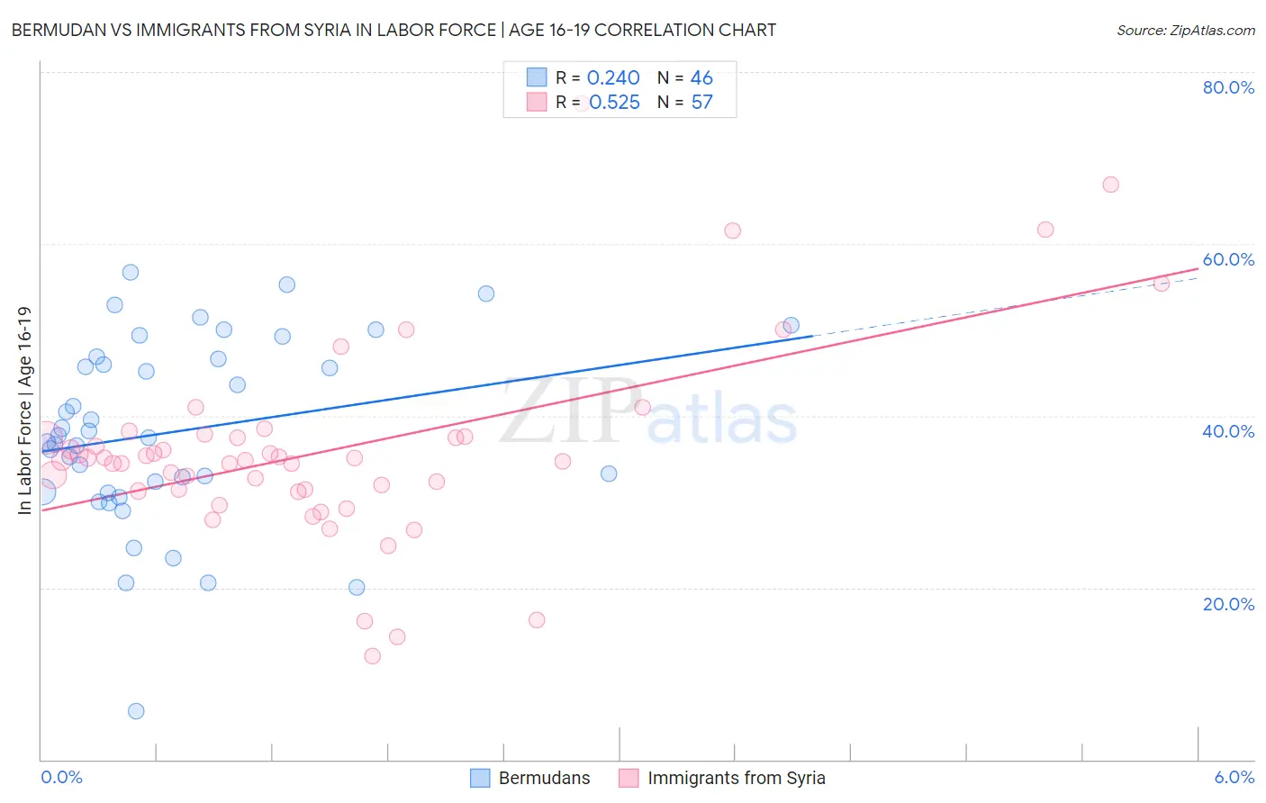 Bermudan vs Immigrants from Syria In Labor Force | Age 16-19