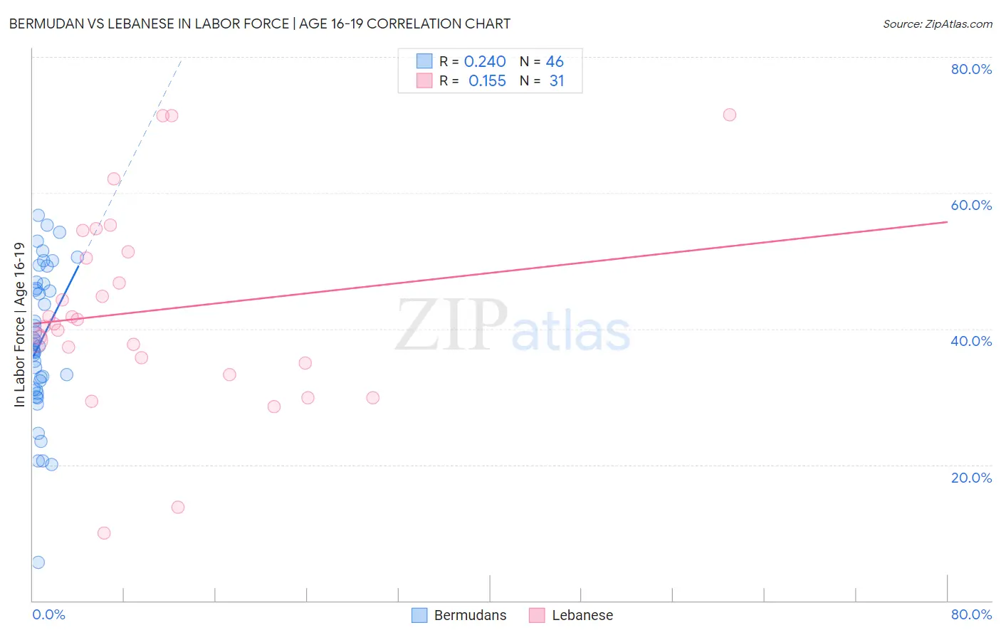 Bermudan vs Lebanese In Labor Force | Age 16-19