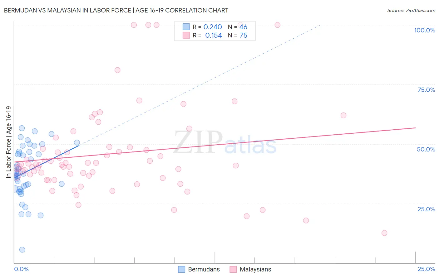 Bermudan vs Malaysian In Labor Force | Age 16-19