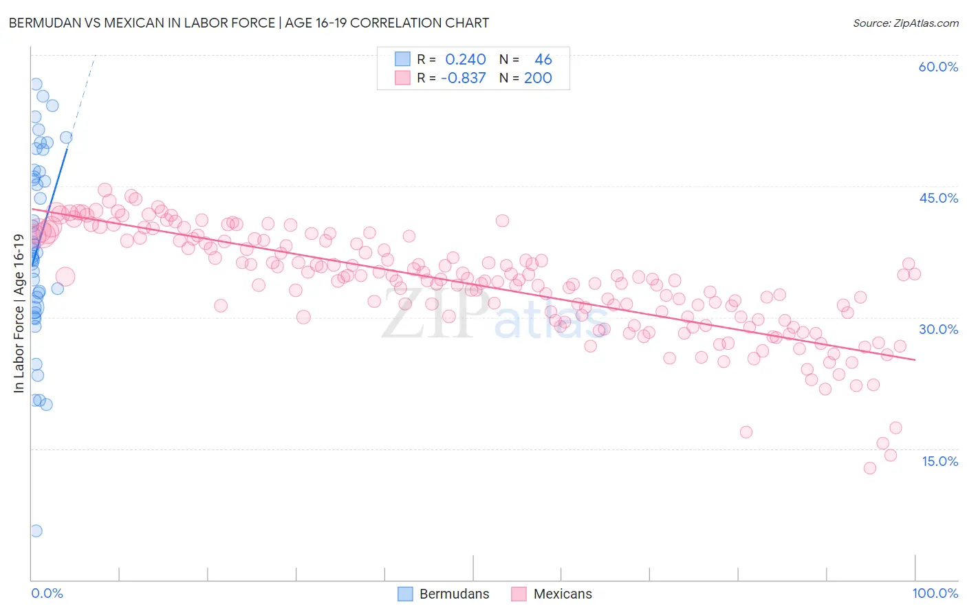 Bermudan vs Mexican In Labor Force | Age 16-19