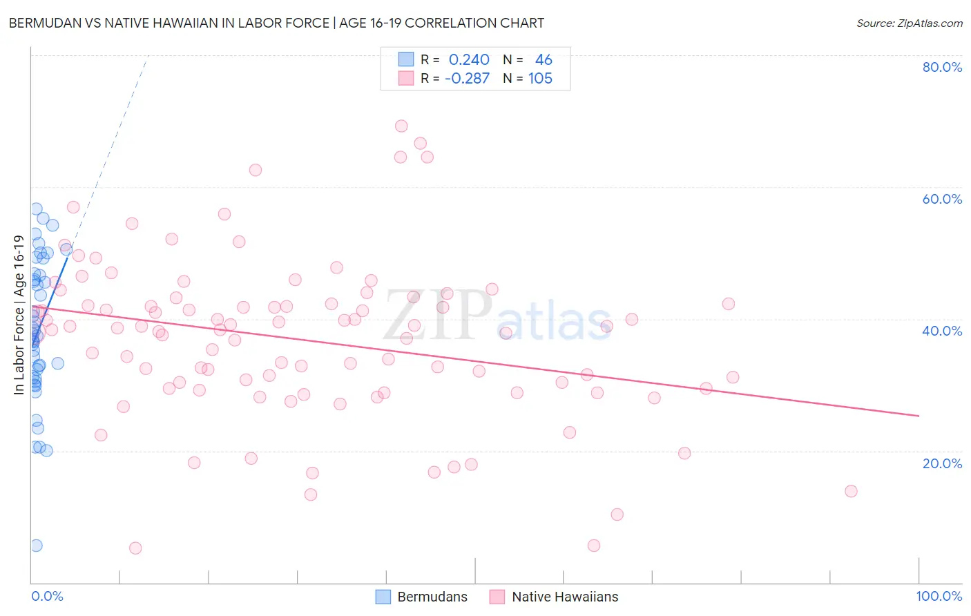 Bermudan vs Native Hawaiian In Labor Force | Age 16-19