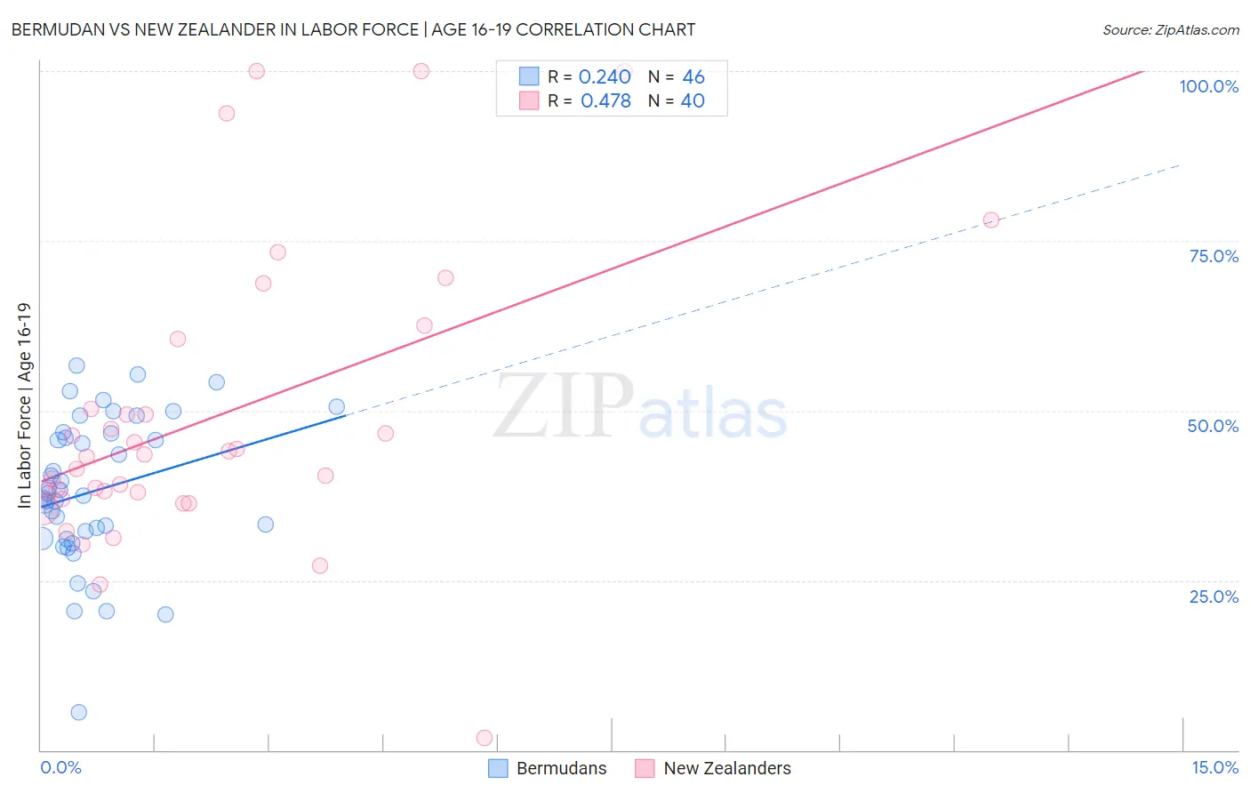 Bermudan vs New Zealander In Labor Force | Age 16-19