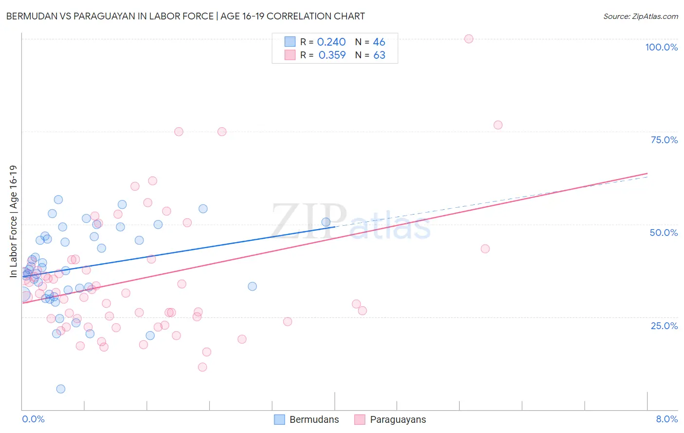 Bermudan vs Paraguayan In Labor Force | Age 16-19