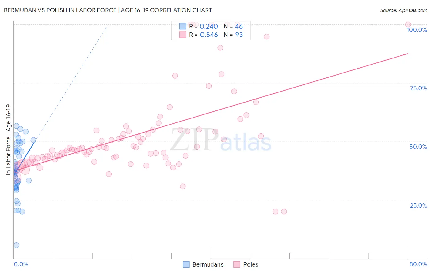 Bermudan vs Polish In Labor Force | Age 16-19