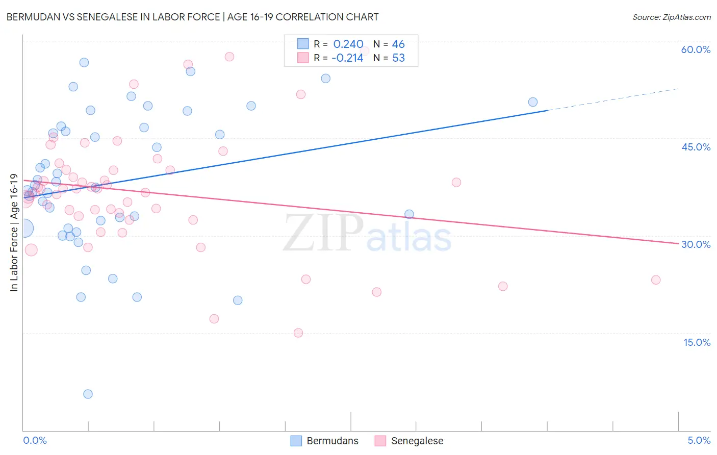 Bermudan vs Senegalese In Labor Force | Age 16-19