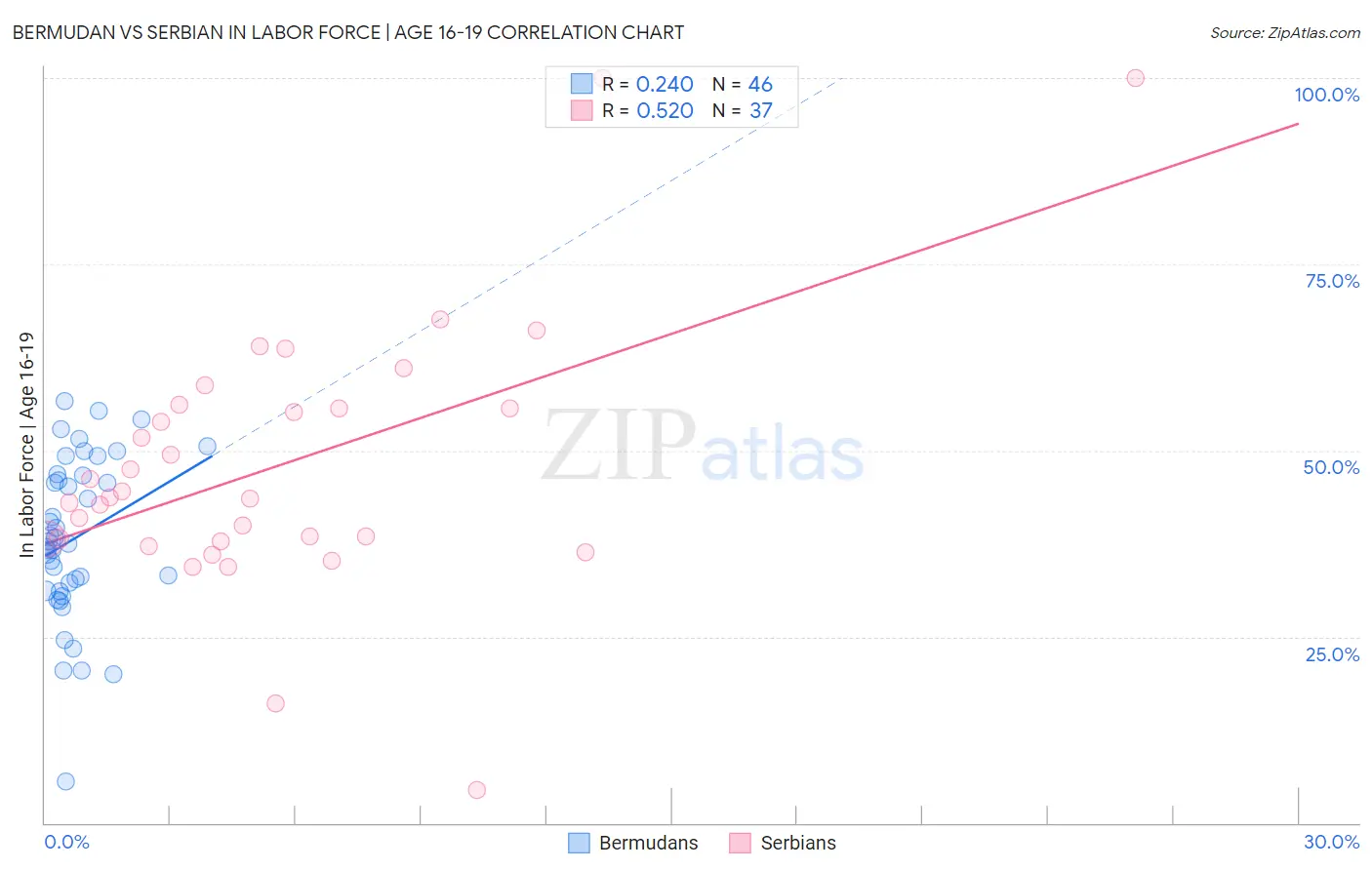 Bermudan vs Serbian In Labor Force | Age 16-19