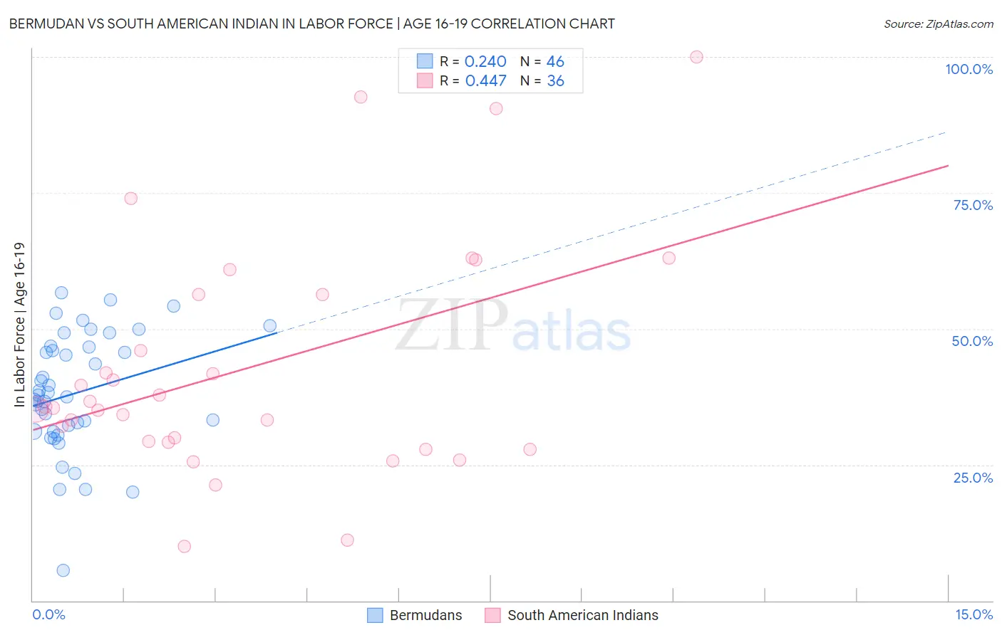 Bermudan vs South American Indian In Labor Force | Age 16-19