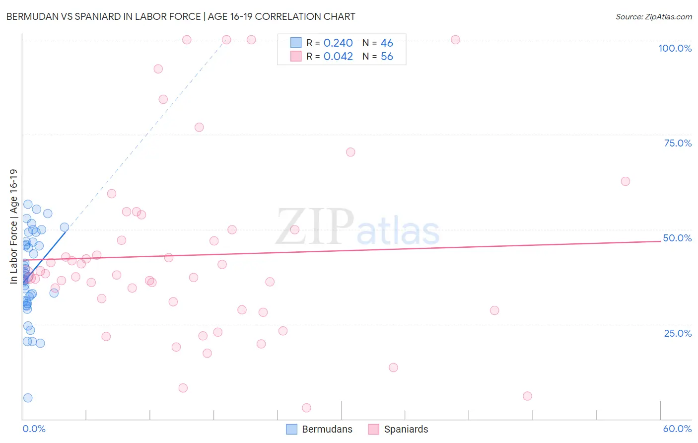 Bermudan vs Spaniard In Labor Force | Age 16-19