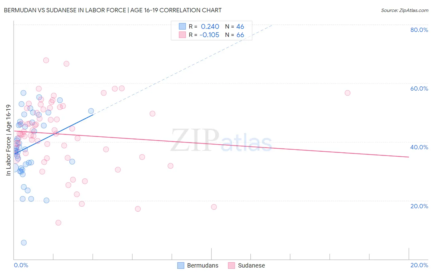 Bermudan vs Sudanese In Labor Force | Age 16-19