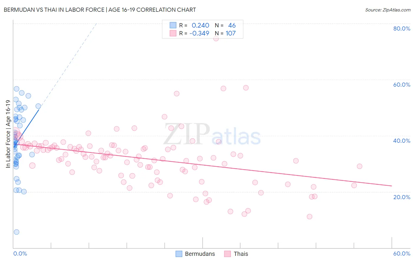 Bermudan vs Thai In Labor Force | Age 16-19