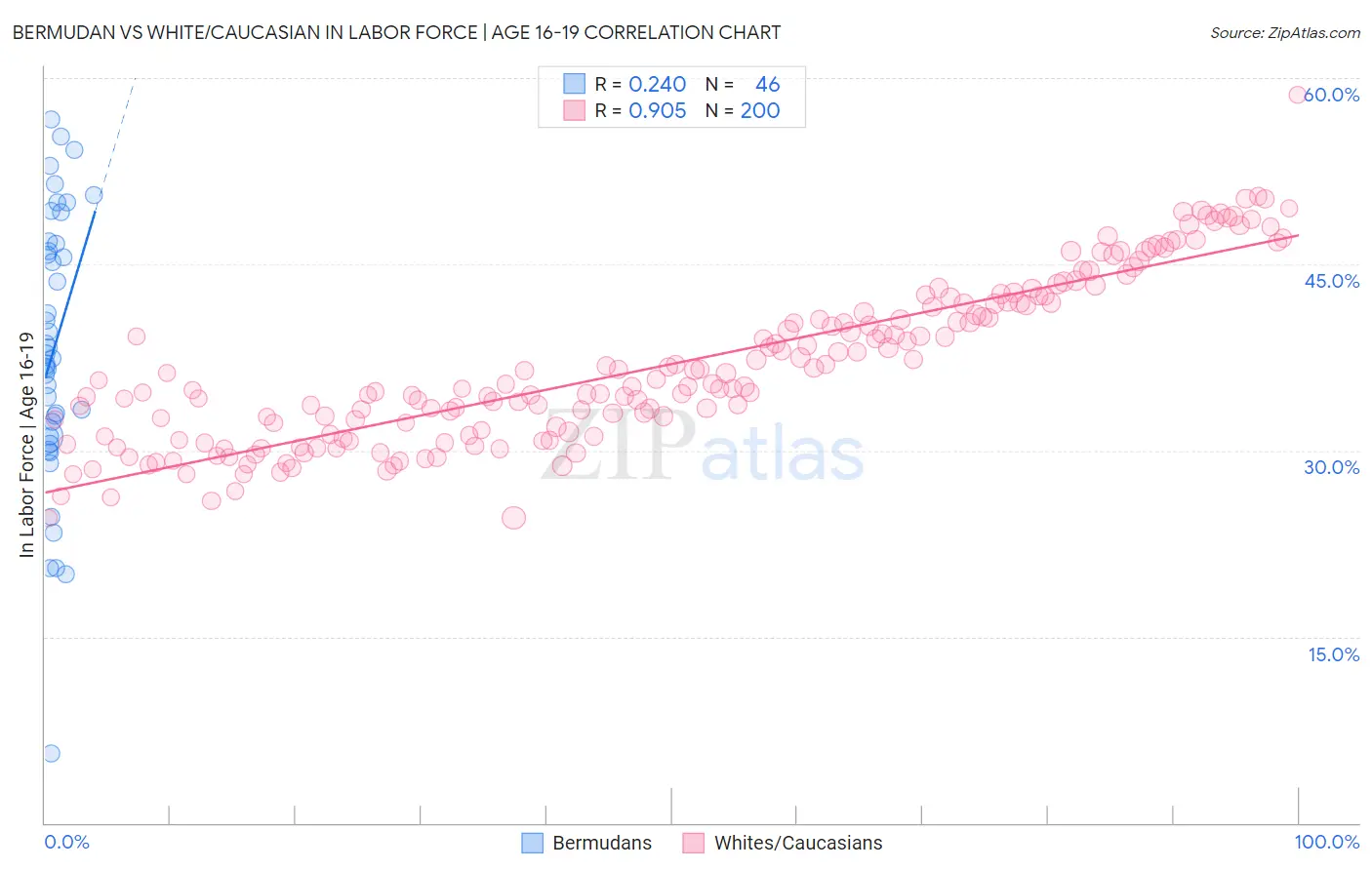 Bermudan vs White/Caucasian In Labor Force | Age 16-19