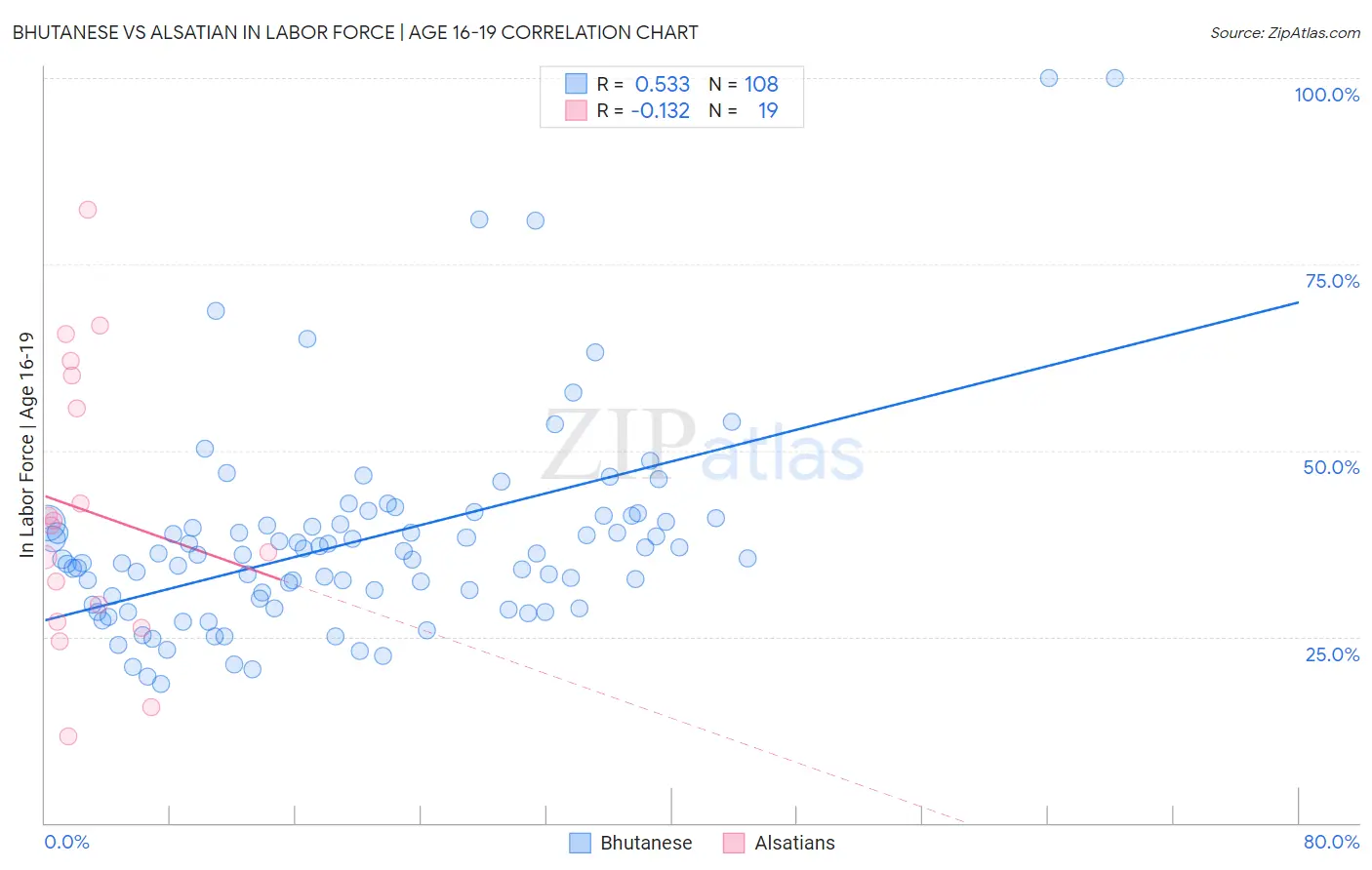 Bhutanese vs Alsatian In Labor Force | Age 16-19