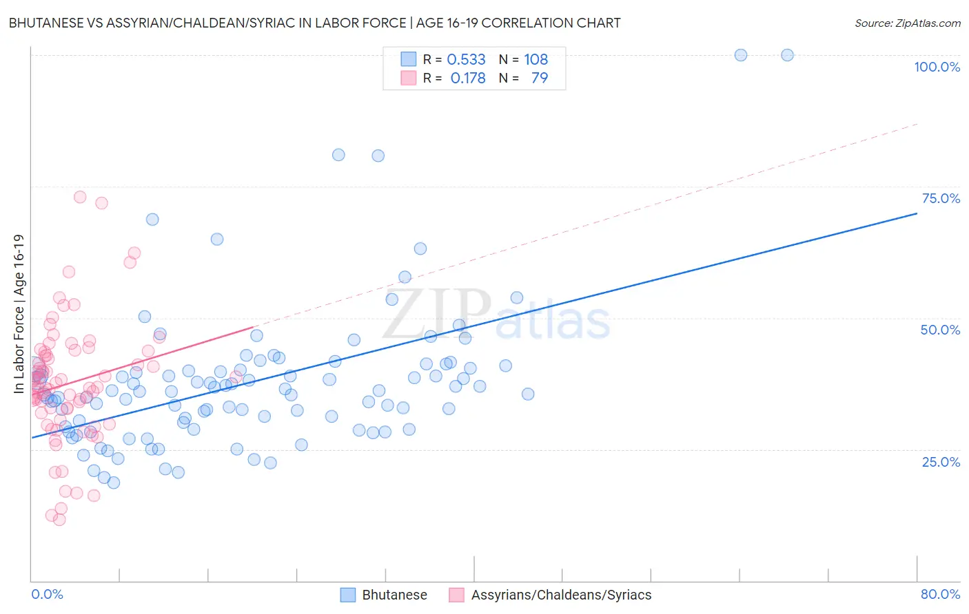 Bhutanese vs Assyrian/Chaldean/Syriac In Labor Force | Age 16-19