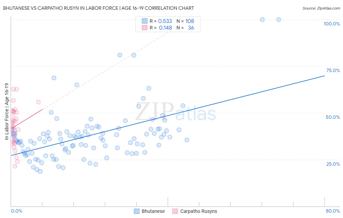 Bhutanese vs Carpatho Rusyn In Labor Force | Age 16-19