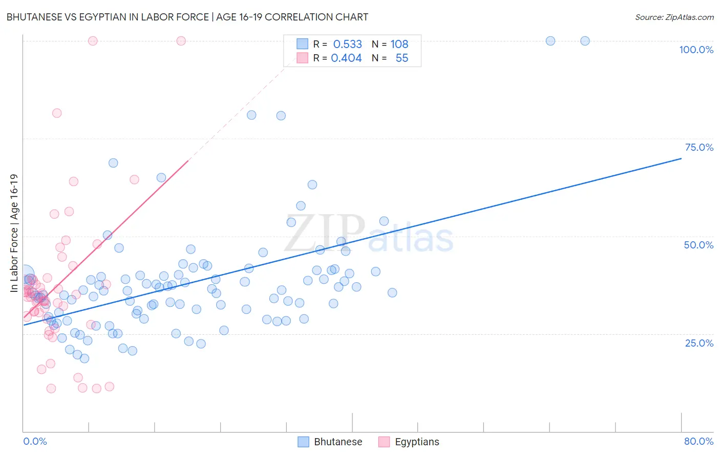 Bhutanese vs Egyptian In Labor Force | Age 16-19
