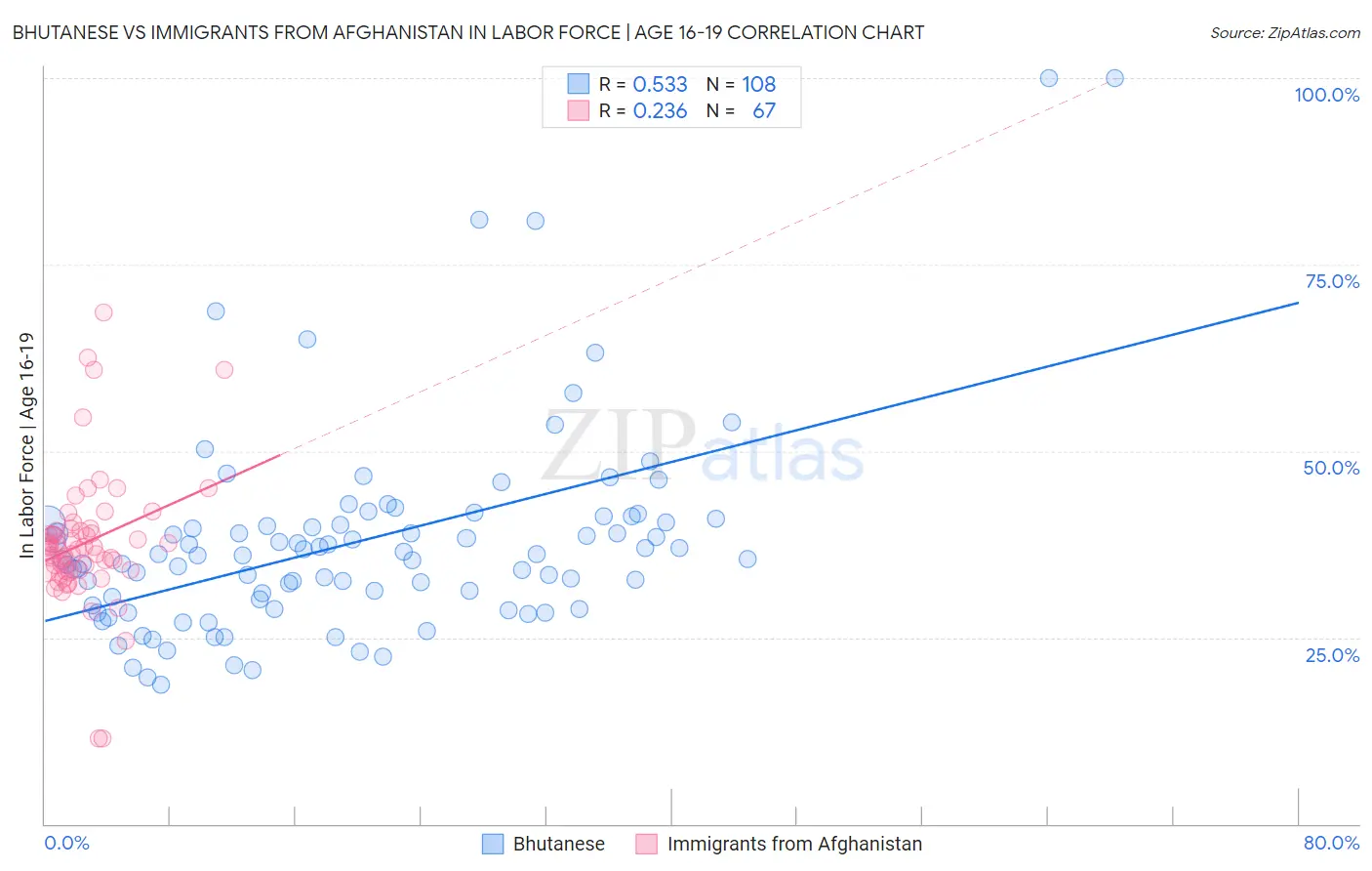 Bhutanese vs Immigrants from Afghanistan In Labor Force | Age 16-19