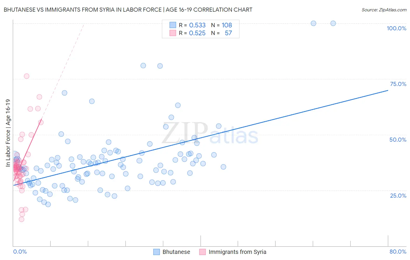 Bhutanese vs Immigrants from Syria In Labor Force | Age 16-19