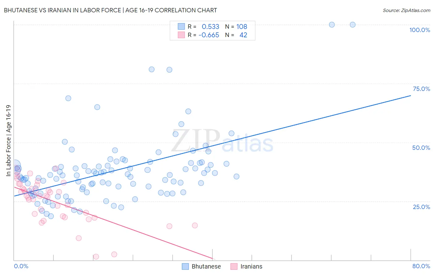 Bhutanese vs Iranian In Labor Force | Age 16-19