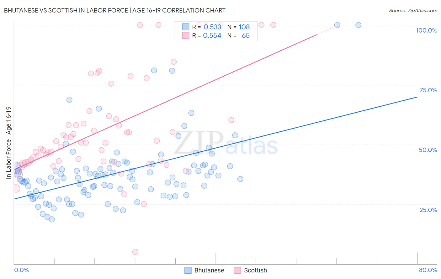 Bhutanese vs Scottish In Labor Force | Age 16-19