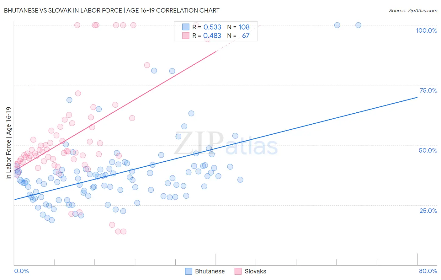 Bhutanese vs Slovak In Labor Force | Age 16-19