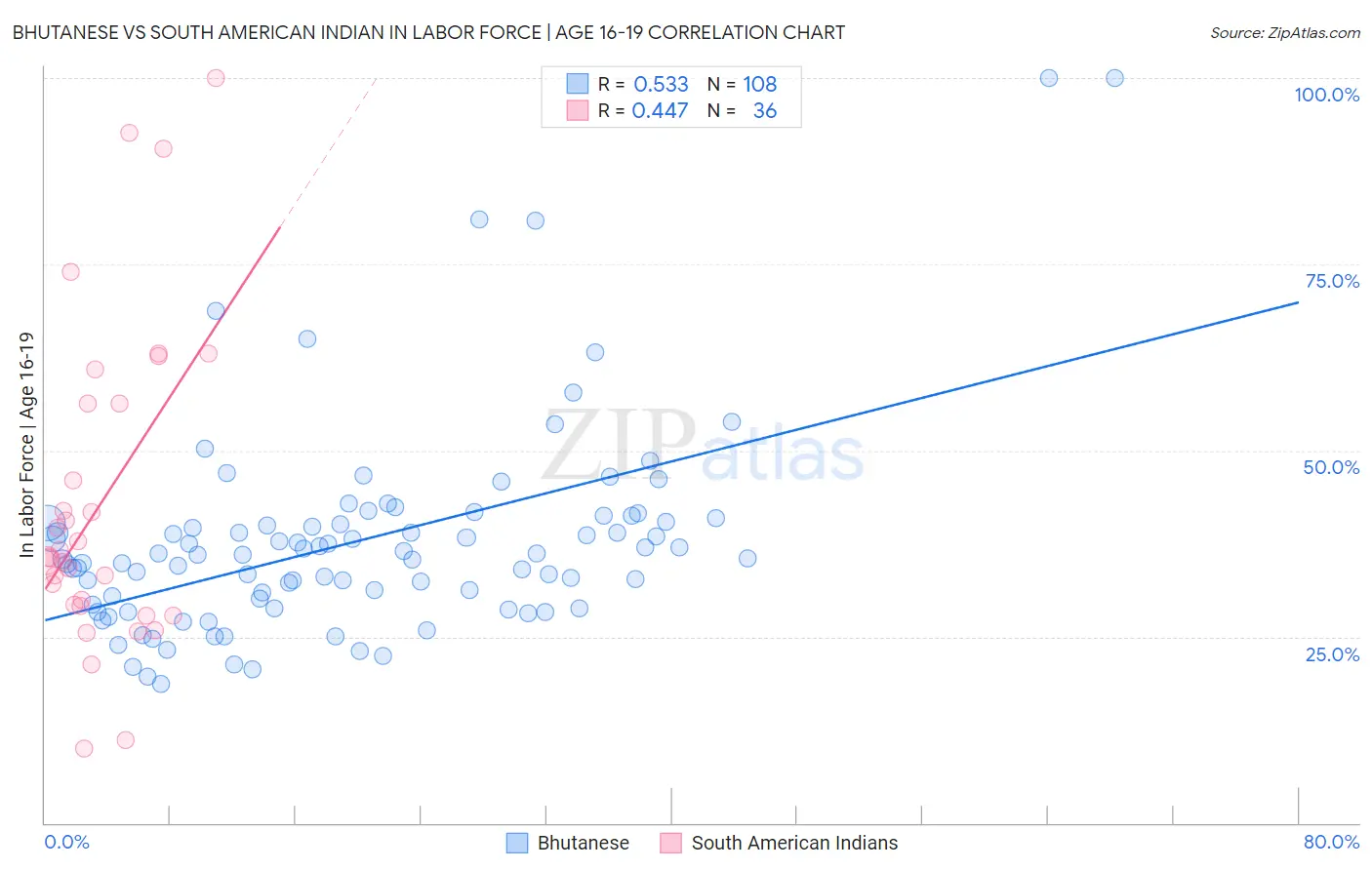 Bhutanese vs South American Indian In Labor Force | Age 16-19