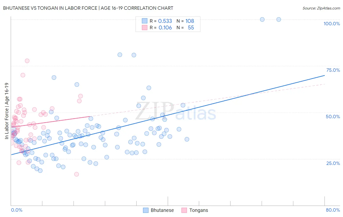 Bhutanese vs Tongan In Labor Force | Age 16-19