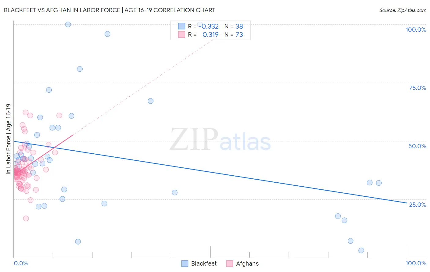 Blackfeet vs Afghan In Labor Force | Age 16-19