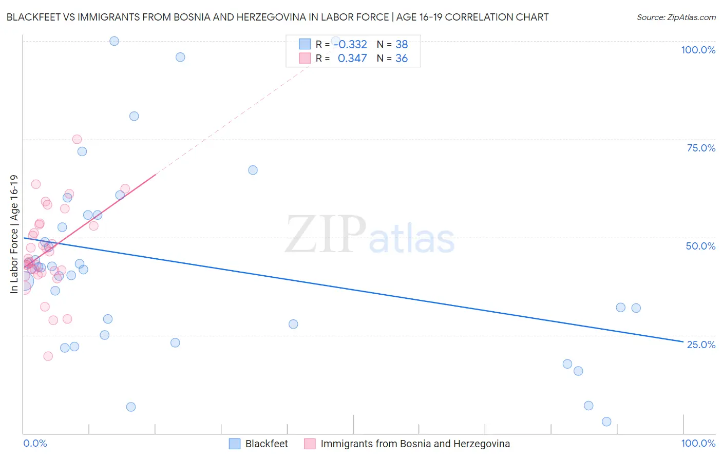 Blackfeet vs Immigrants from Bosnia and Herzegovina In Labor Force | Age 16-19