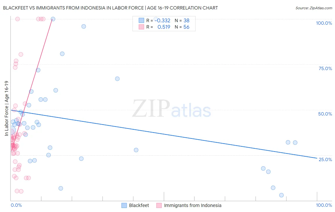 Blackfeet vs Immigrants from Indonesia In Labor Force | Age 16-19
