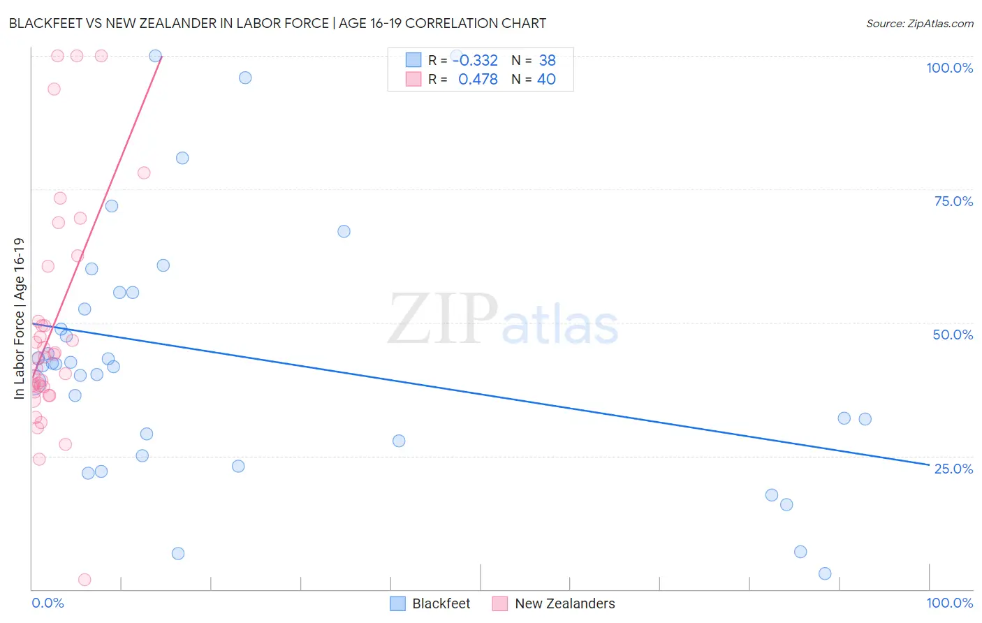 Blackfeet vs New Zealander In Labor Force | Age 16-19
