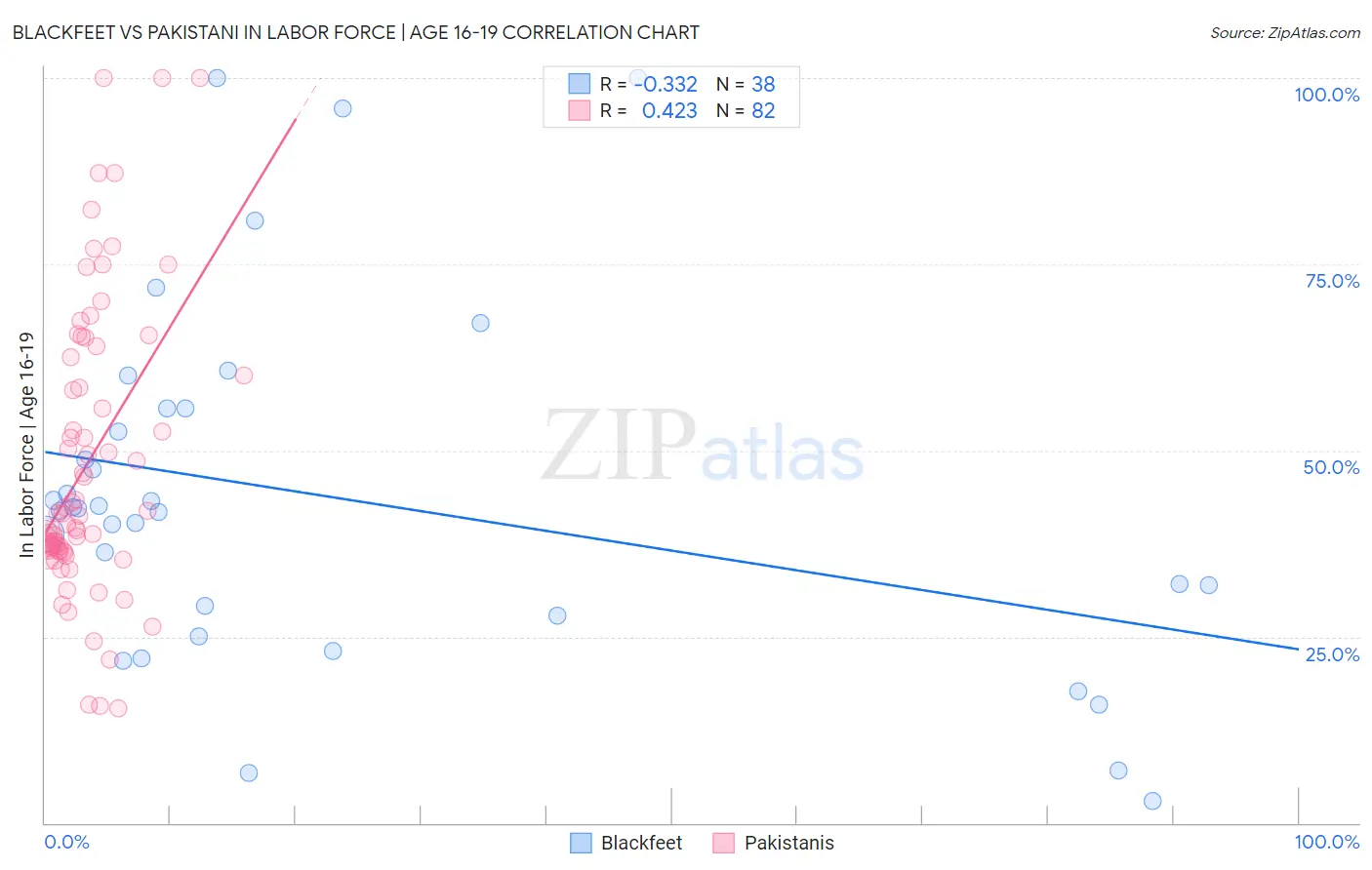 Blackfeet vs Pakistani In Labor Force | Age 16-19