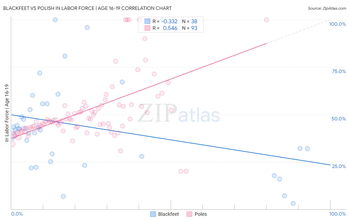 Blackfeet vs Polish In Labor Force | Age 16-19