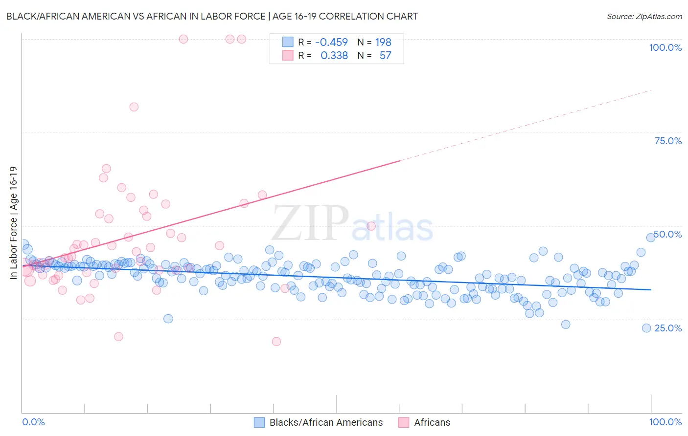 Black/African American vs African In Labor Force | Age 16-19