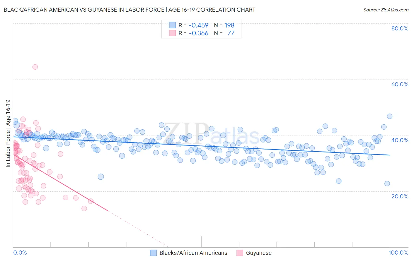 Black/African American vs Guyanese In Labor Force | Age 16-19