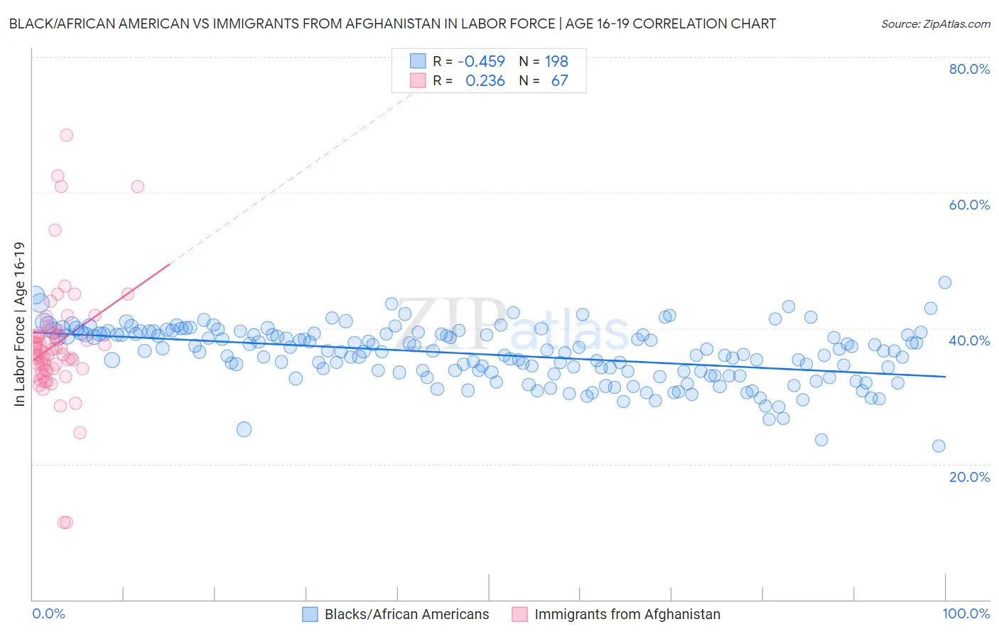 Black/African American vs Immigrants from Afghanistan In Labor Force | Age 16-19