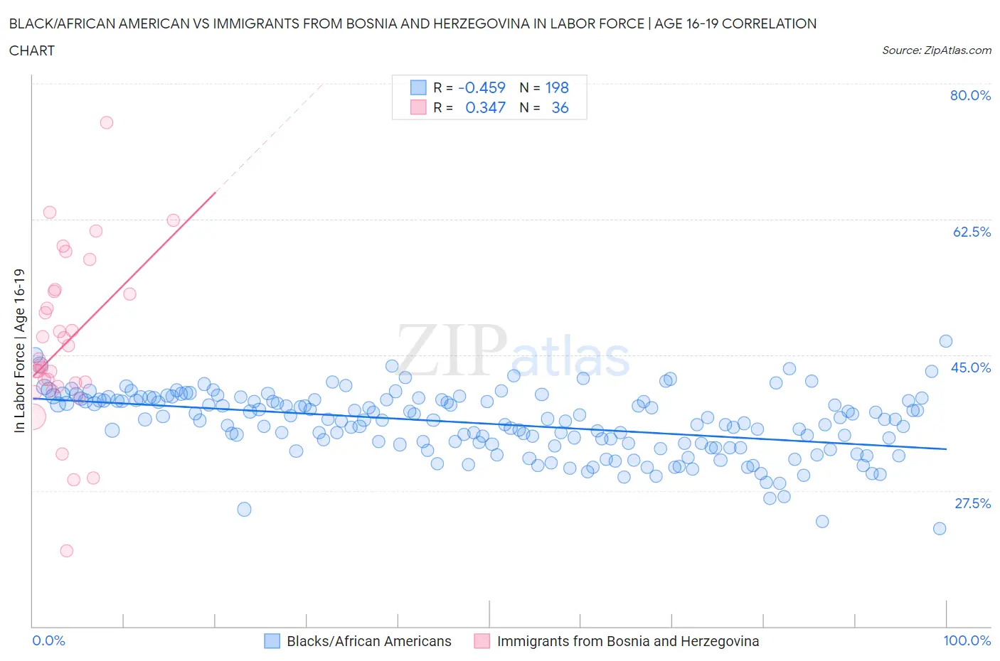 Black/African American vs Immigrants from Bosnia and Herzegovina In Labor Force | Age 16-19