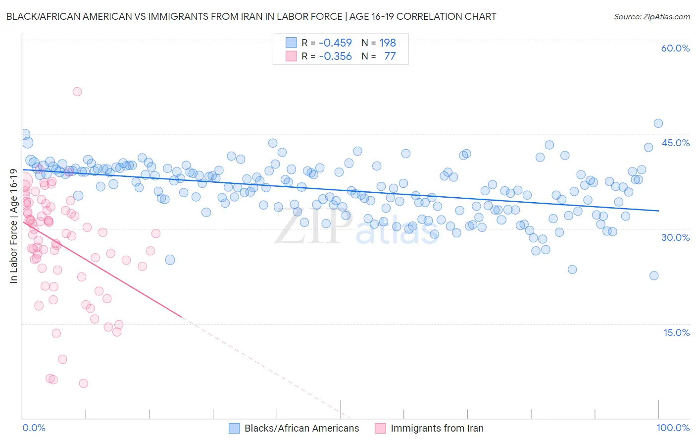 Black/African American vs Immigrants from Iran In Labor Force | Age 16-19