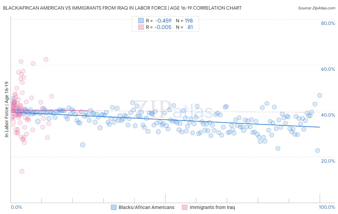 Black/African American vs Immigrants from Iraq In Labor Force | Age 16-19