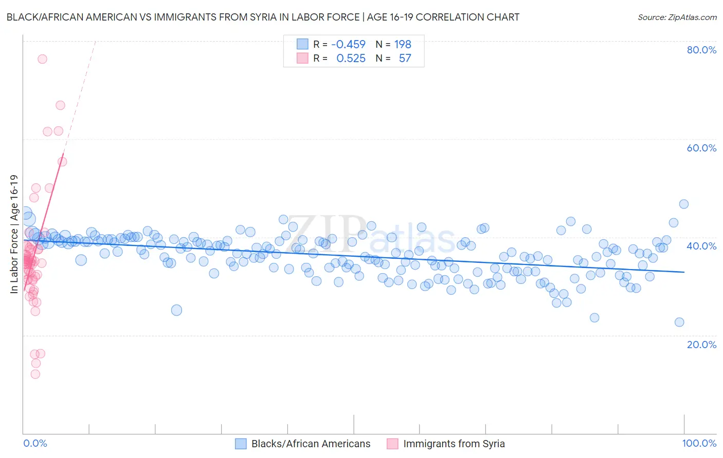 Black/African American vs Immigrants from Syria In Labor Force | Age 16-19