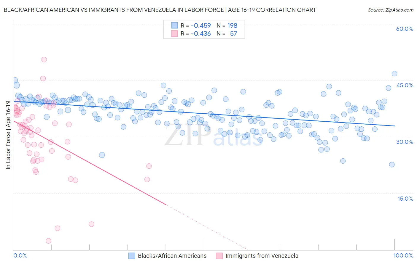 Black/African American vs Immigrants from Venezuela In Labor Force | Age 16-19